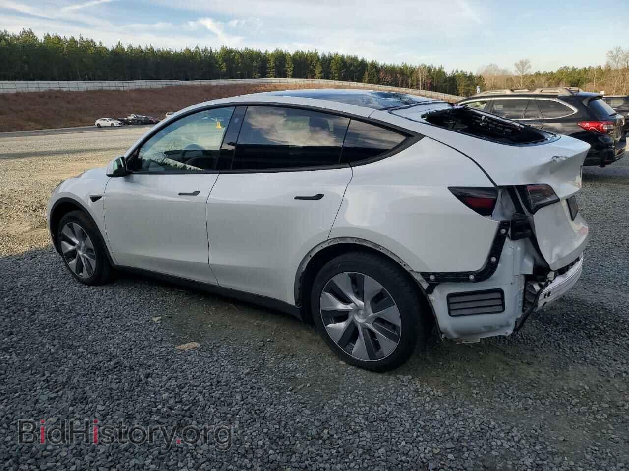 2023 TESLA MODEL Y - VIN: 7SAYGDEE6PF702865 - Фото 2