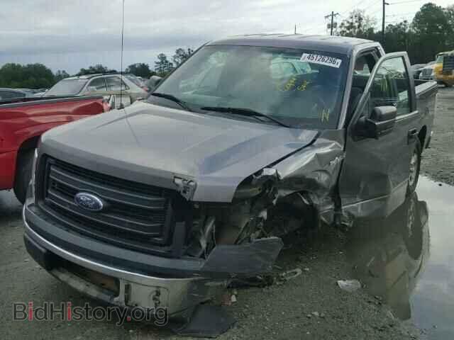 2013 FORD F150 - VIN: 1FTMF1CM2DFD75203 - Фото 2