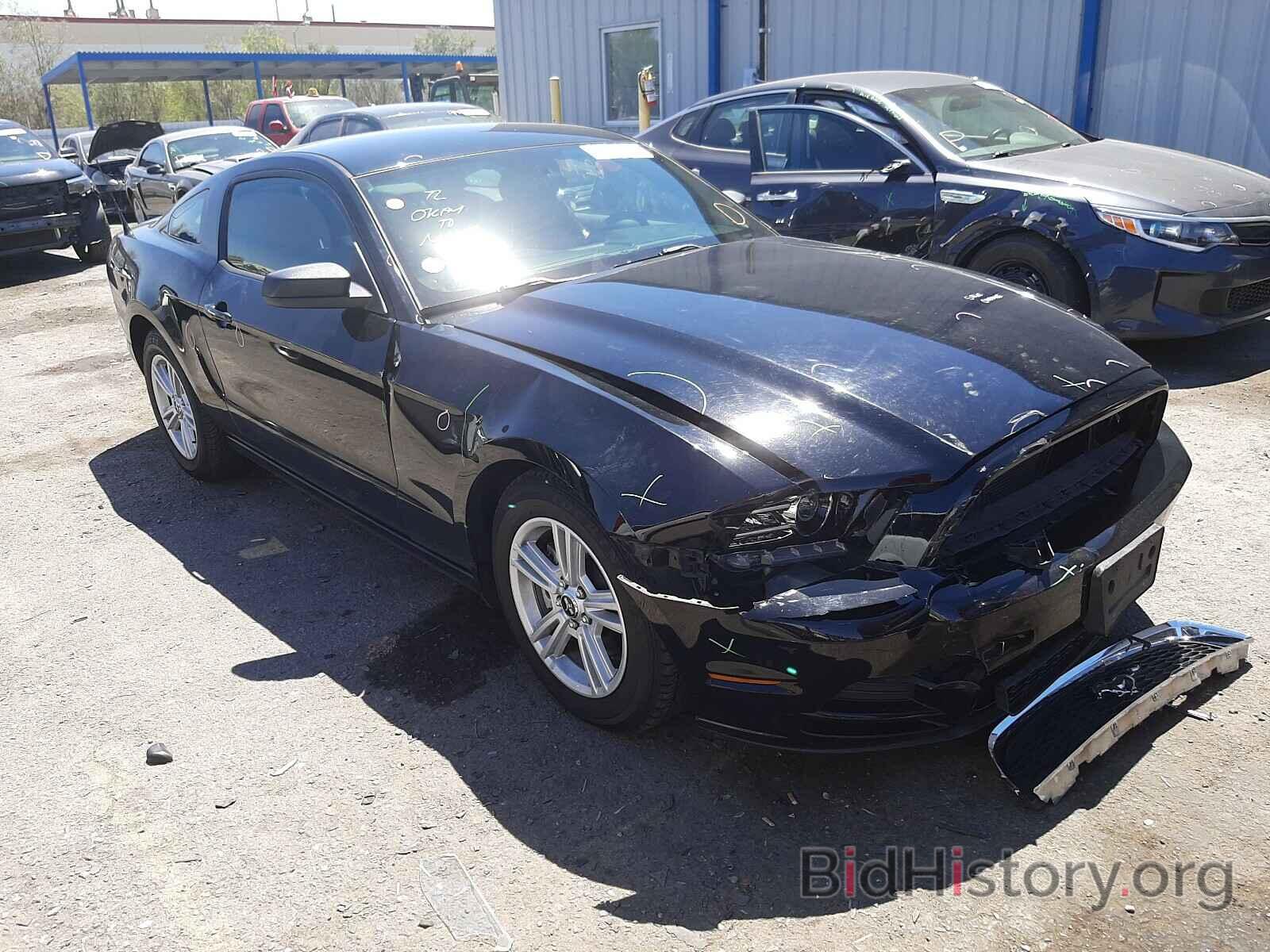 Photo 1ZVBP8AM5E5267176 - FORD MUSTANG 2014