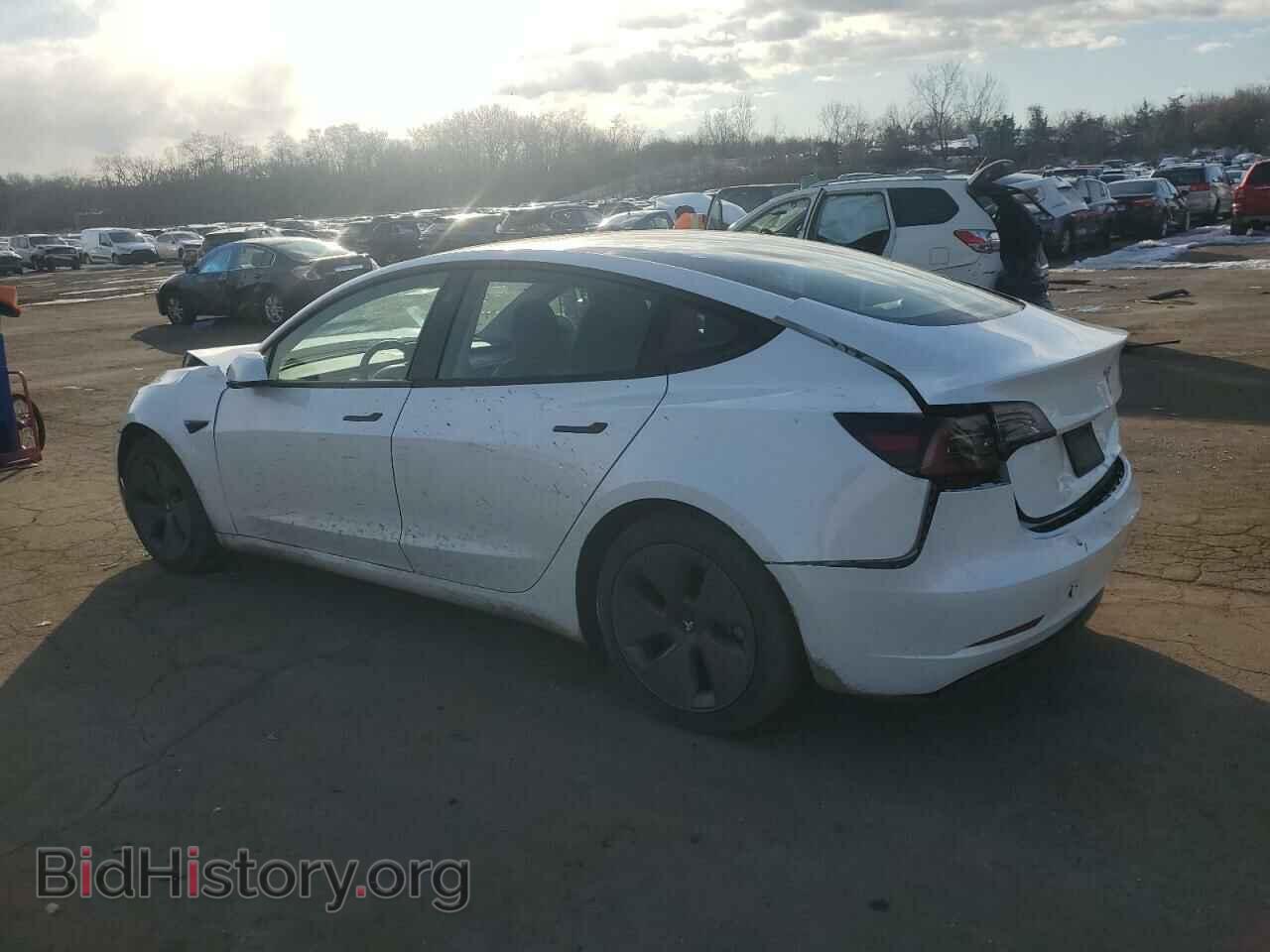 2023 TESLA MODEL 3 - VIN: 5YJ3E1EA8PF600458 - Photo 2