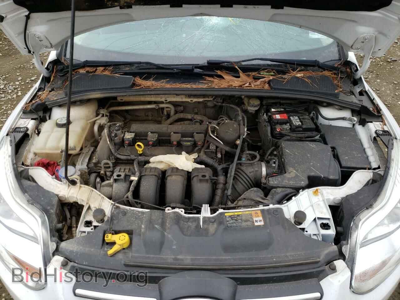 2013 FORD FOCUS - VIN: 1FADP3F29DL323447 - Фото 7