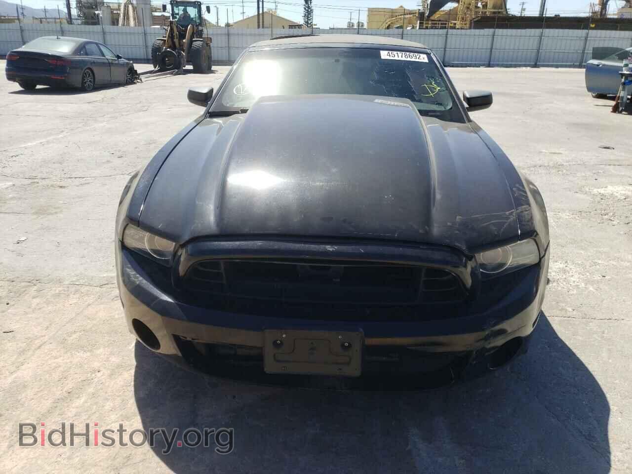 2013 FORD MUSTANG - VIN: 1ZVBP8EMXD5219665 - Фото 9