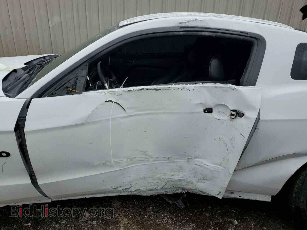 2014 FORD MUSTANG - VIN: 1ZVBP8CF3E5281219 - Фото 7