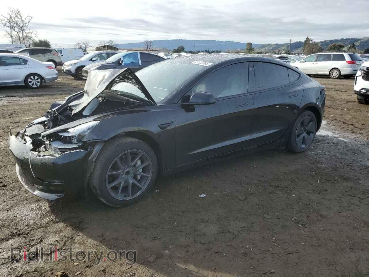 Фотография 5YJ3E1EA5PF695044 - TESLA MODEL 3 2023