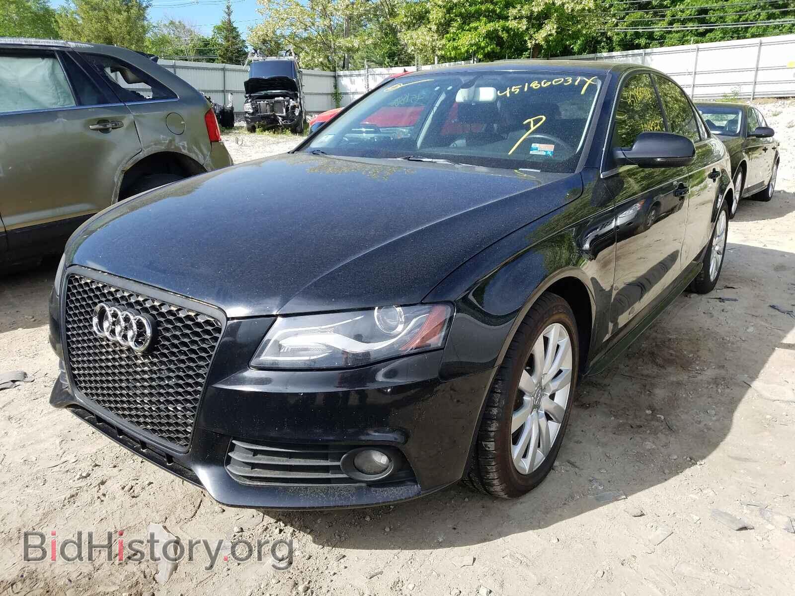 2010 AUDI A4 - VIN: WAUFFAFL7AN030601 - Фото 2