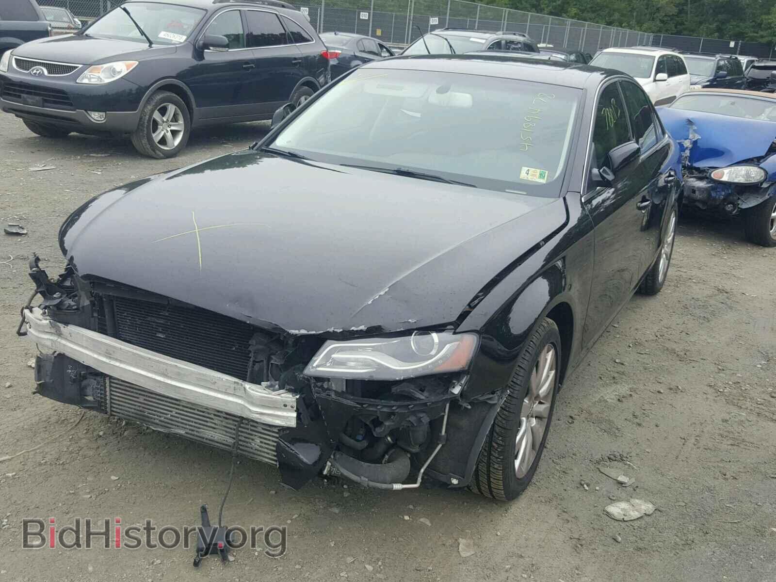 2010 AUDI A4 - VIN: WAUEFAFL9AN004089 - Фото 2