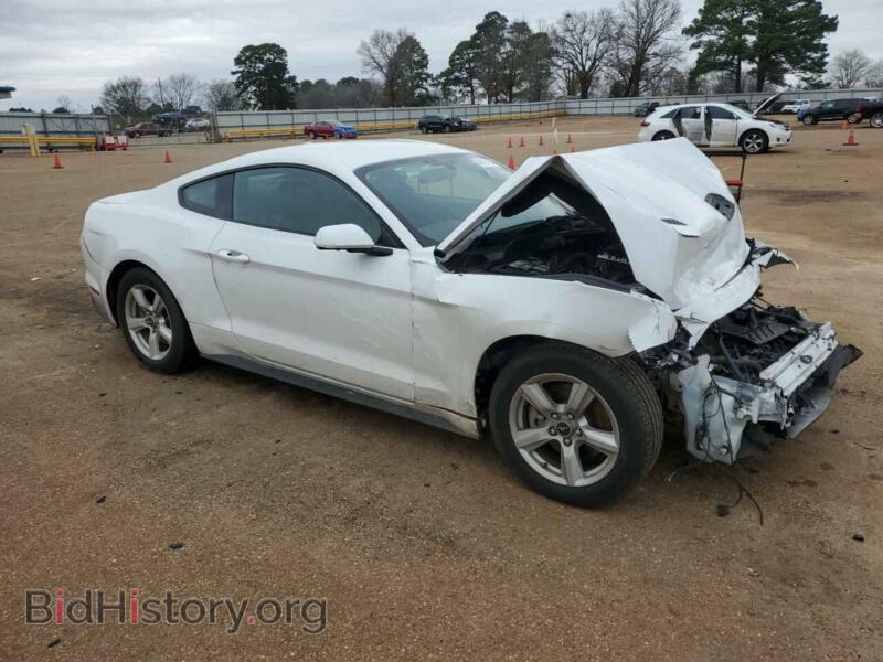 2019 Ford ALL MODELS (VIN 1FA6P8TH3K5199658) — photo 4 of 13