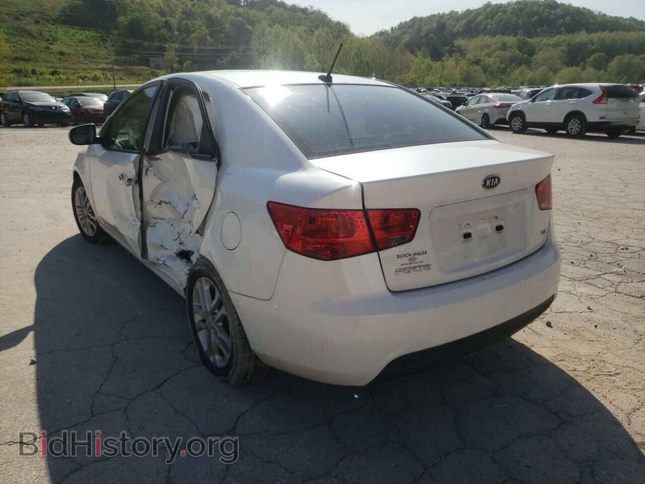 2012 KIA FORTE - VIN: KNAFU4A23C5625177 - Фото 3