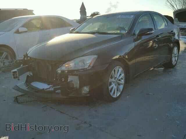 2009 LEXUS IS250 - VIN: JTHBK262695101405 - Фото 2