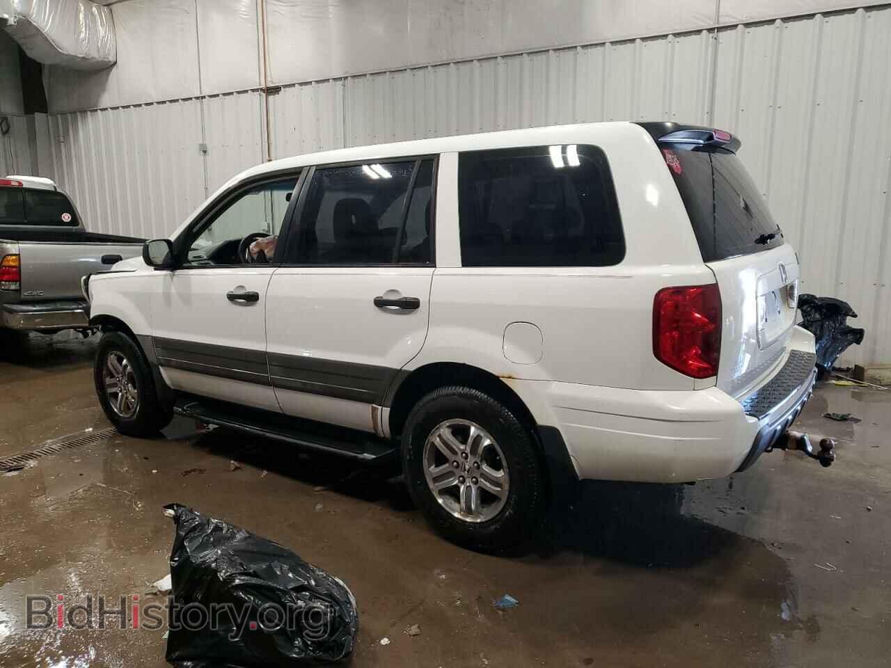 2005 HONDA PILOT - VIN: 2HKYF18175H567563 - Фото 2