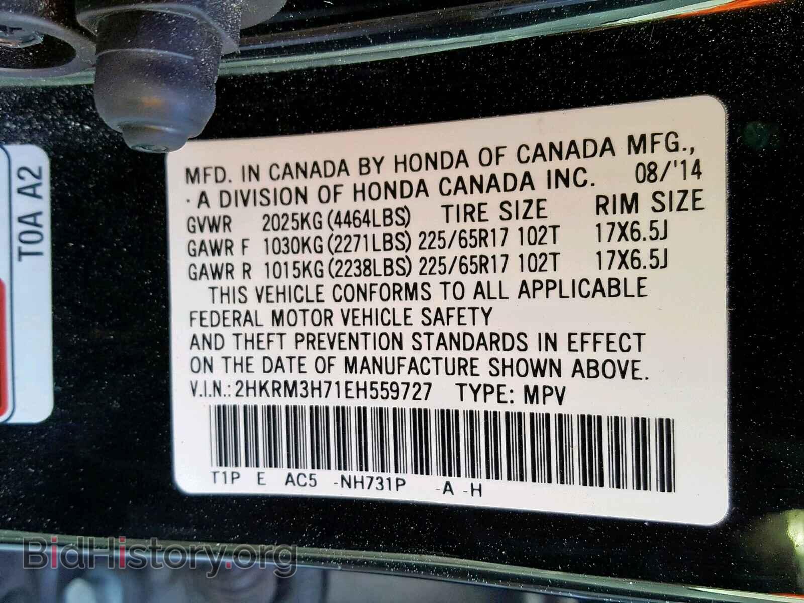 2014 HONDA CR-V EXL - VIN: 2HKRM3H71EH559727 - Photo 10
