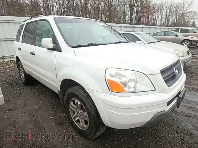Фотография 5FNYF18575B018253 - HONDA PILOT 2005