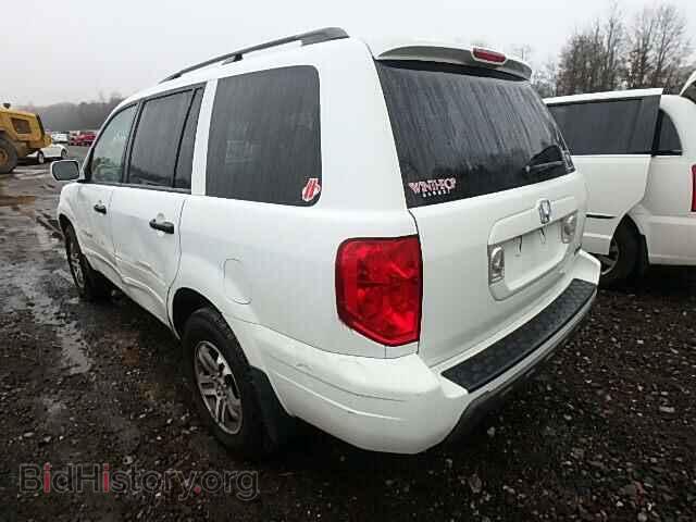 2005 HONDA PILOT - VIN: 5FNYF18575B018253 - Фото 3