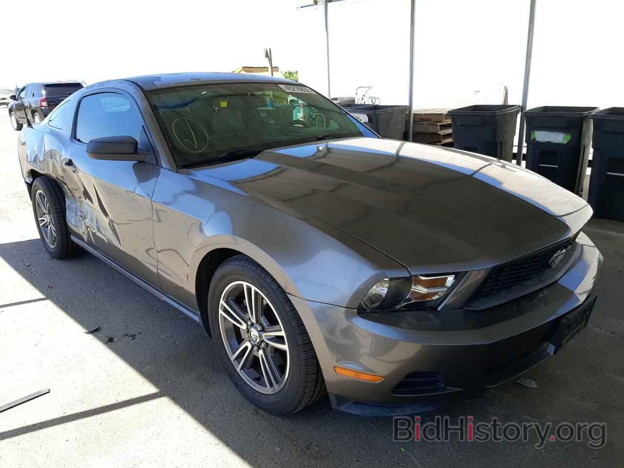 Photo 1ZVBP8AN0A5137048 - FORD MUSTANG 2010