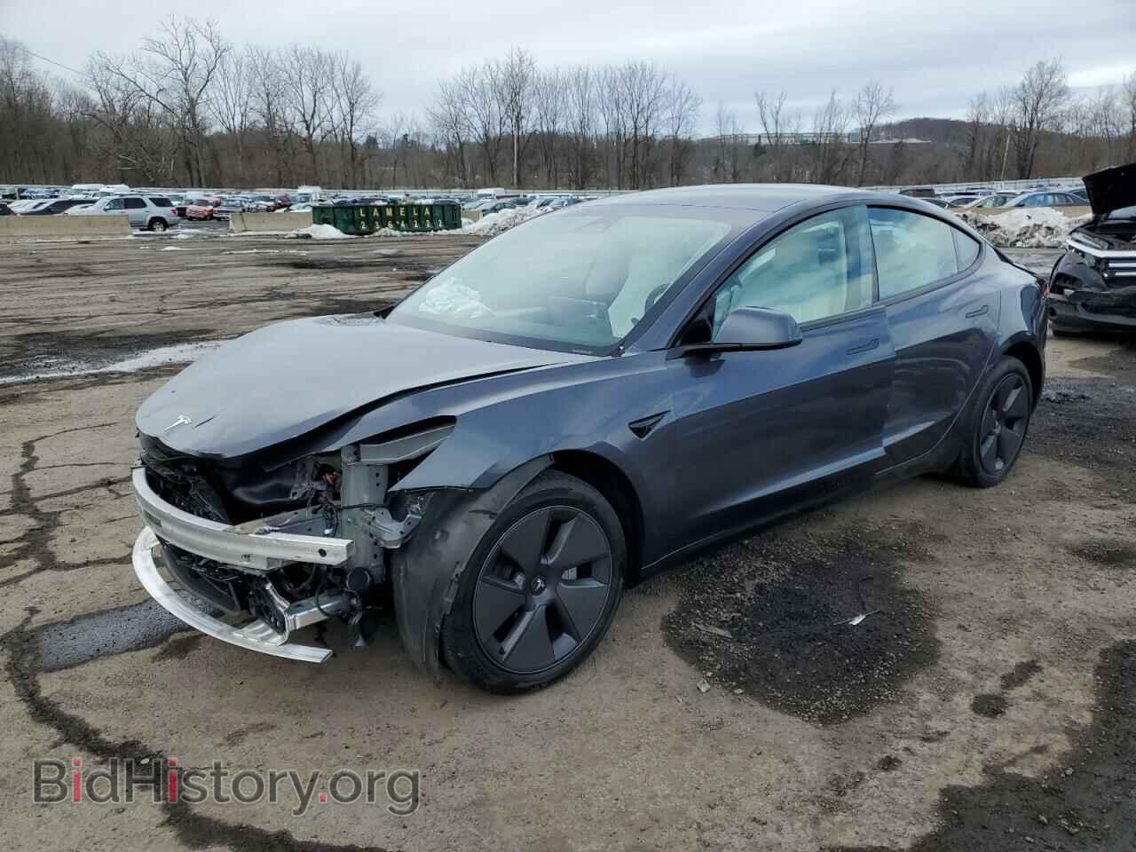 Photo 5YJ3E1EA1PF552219 - TESLA MODEL 3 2023
