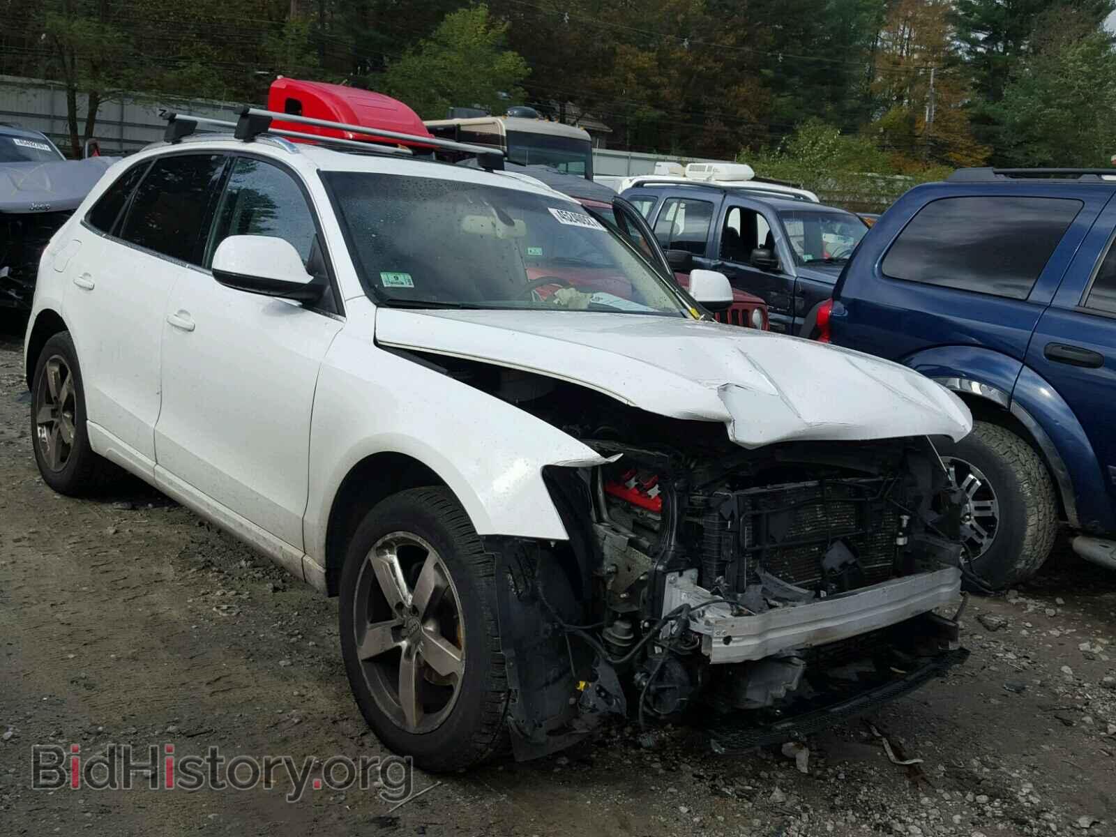 Фотография WA1LKAFP1AA070520 - AUDI Q5 2010