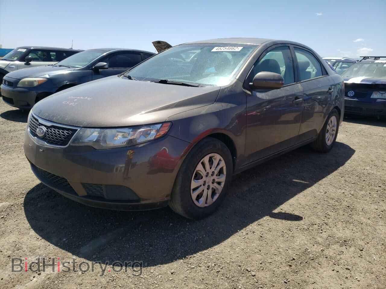 2013 KIA FORTE - VIN: KNAFU4A26D5723024 - Фото 2