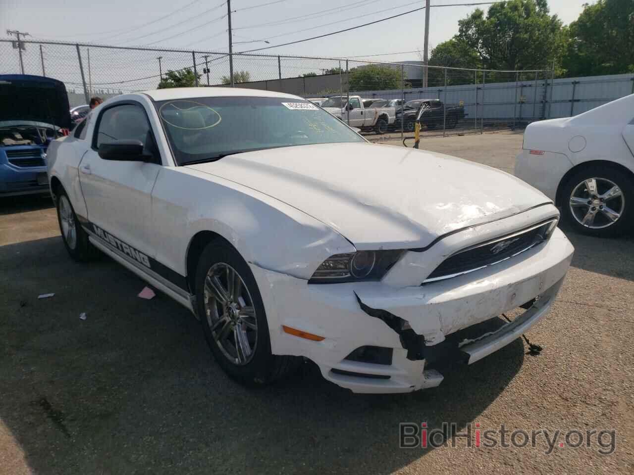 Photo 1ZVBP8AM3E5256726 - FORD MUSTANG 2014