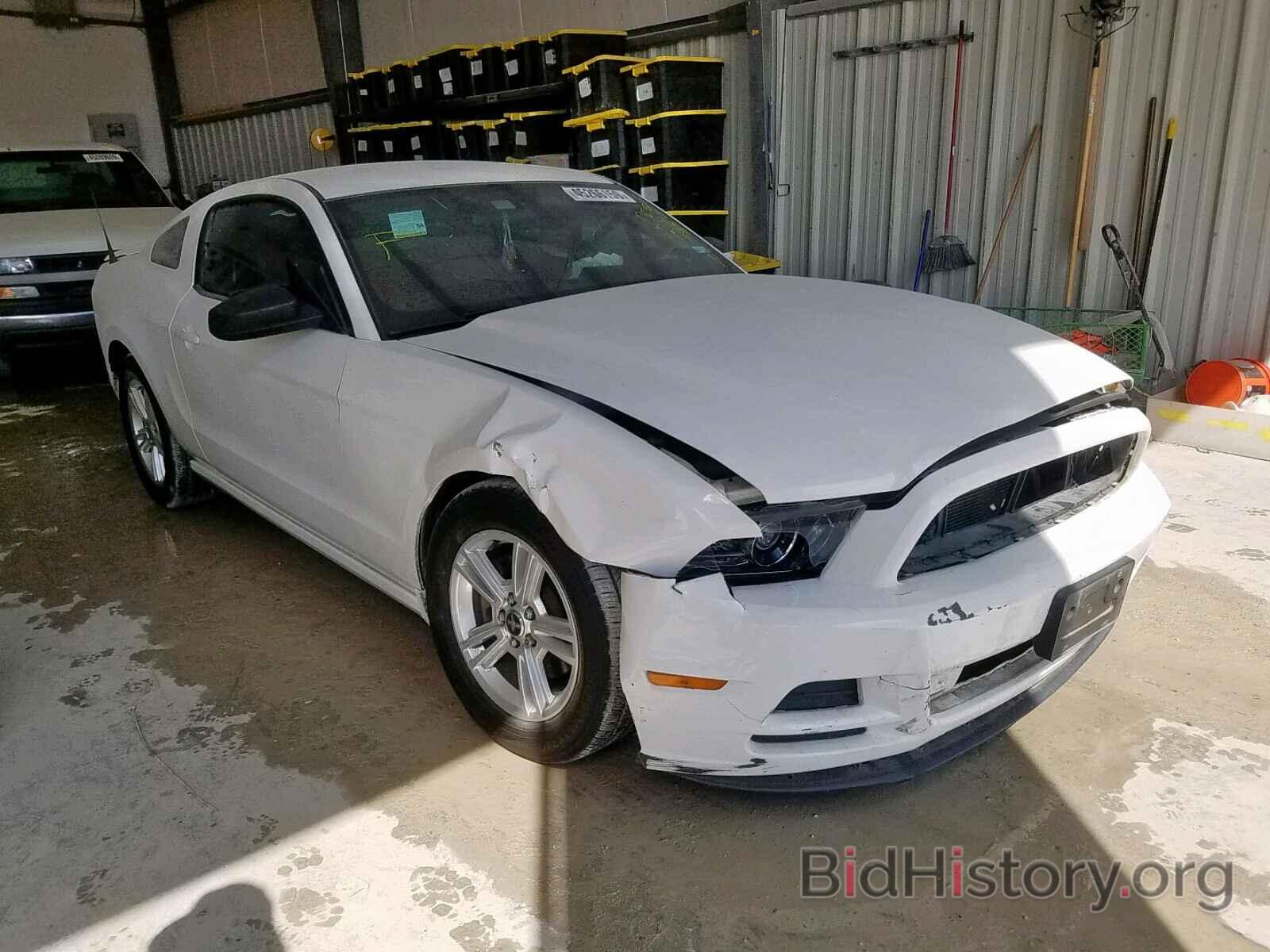 Photo 1ZVBP8AM4D5259178 - FORD MUSTANG 2013
