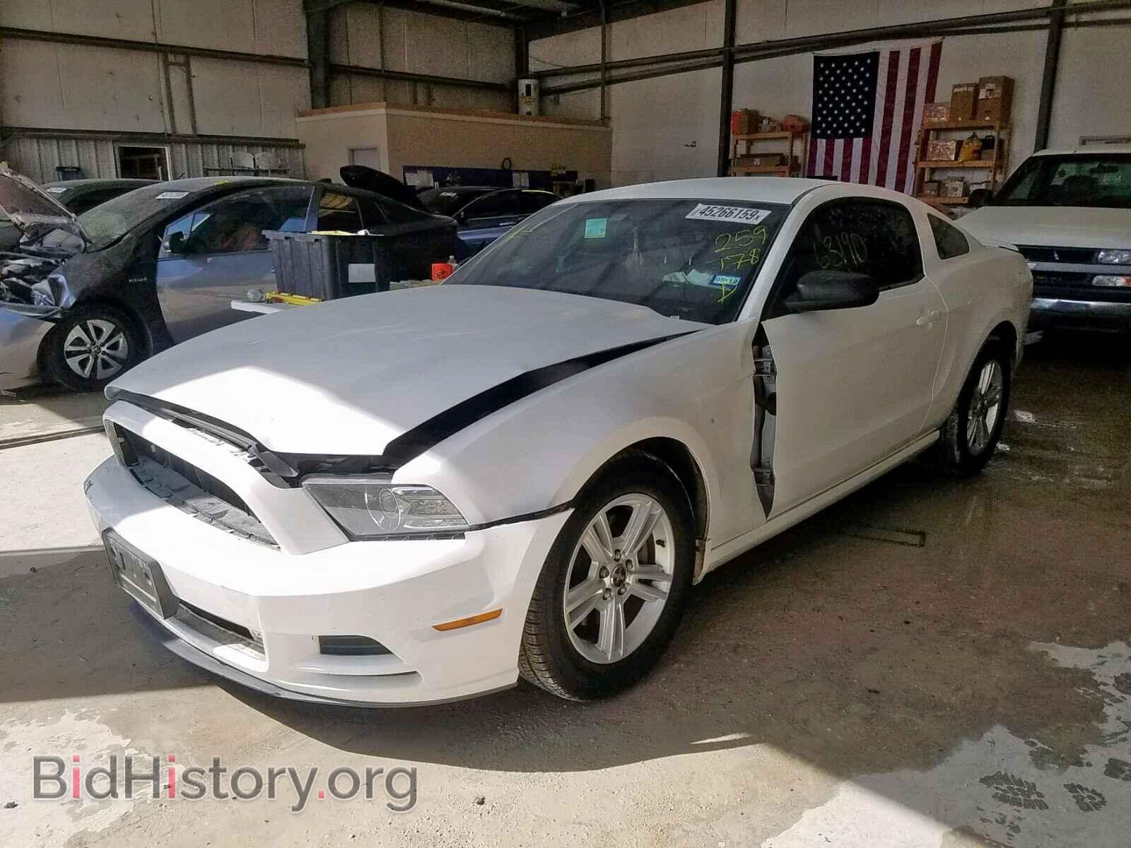 2013 FORD MUSTANG - VIN: 1ZVBP8AM4D5259178 - Фото 2