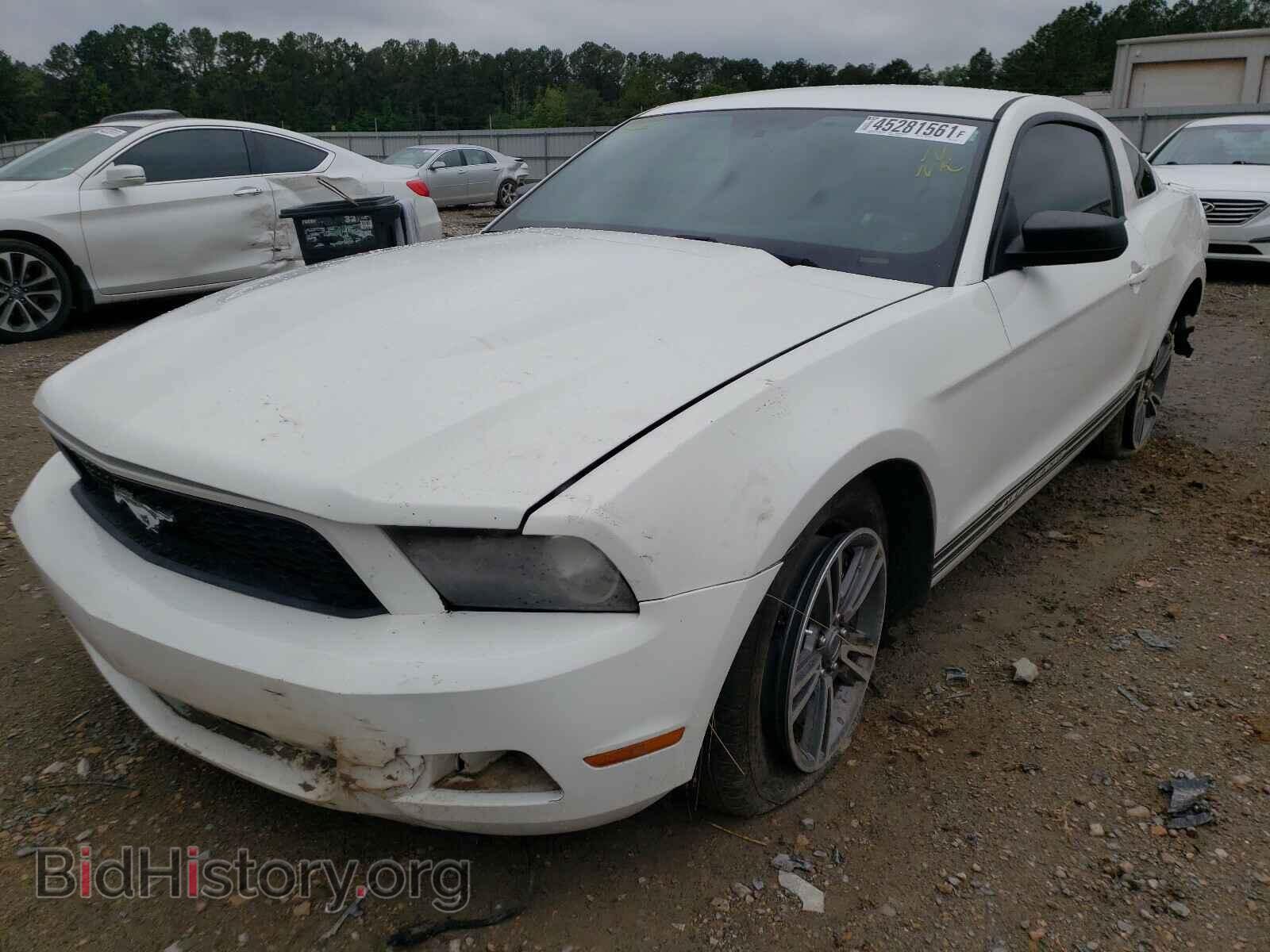 2012 FORD MUSTANG - VIN: 1ZVBP8AM7C5282419 - Фото 2