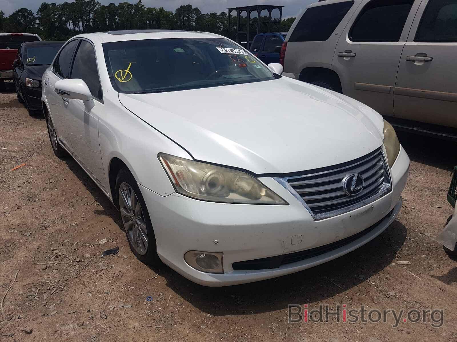 Фотография JTHBK1EG8A2387318 - LEXUS ES350 2010