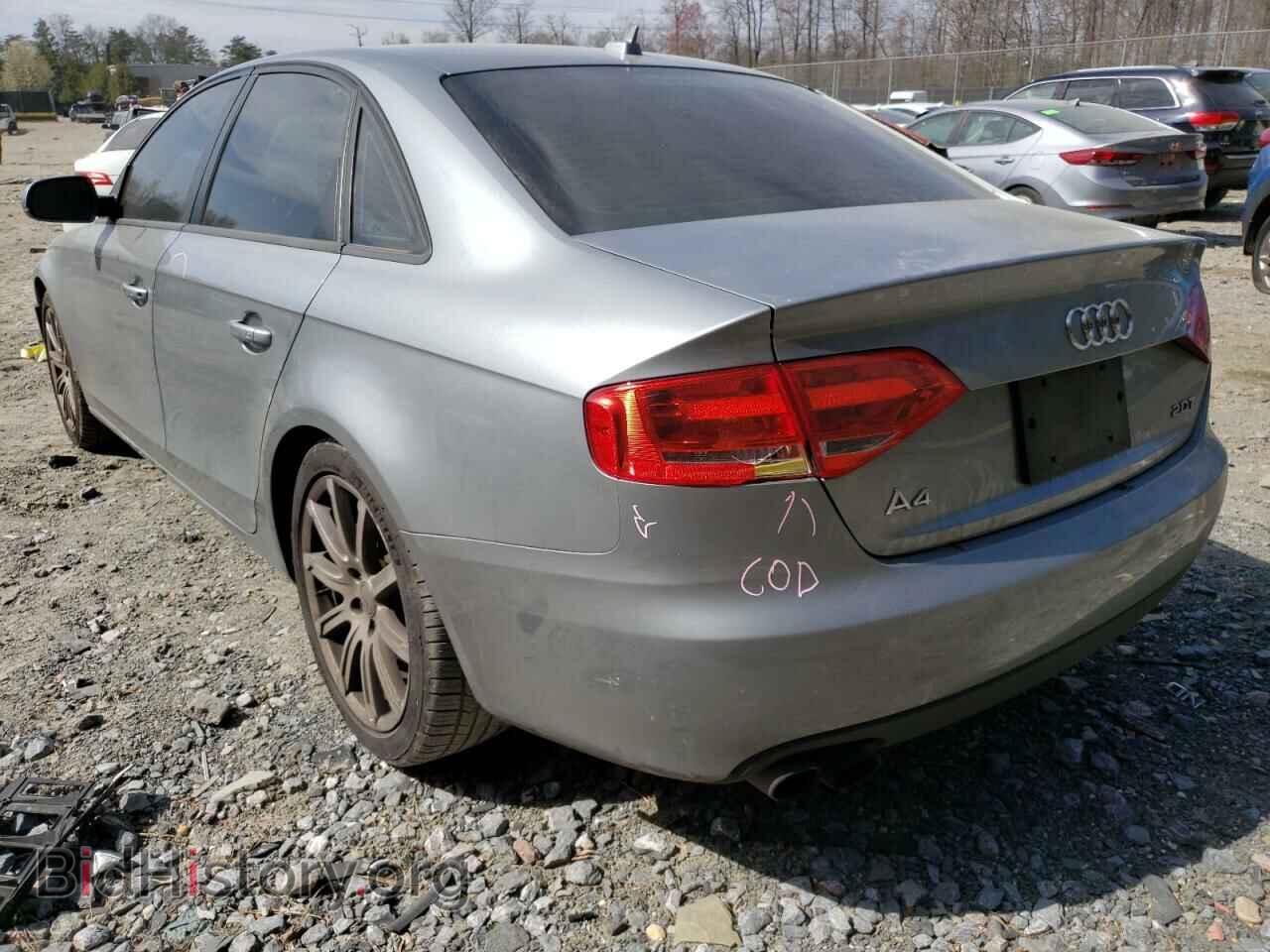2011 AUDI A4 - VIN: WAUAFAFL9BN055656 - Фото 2