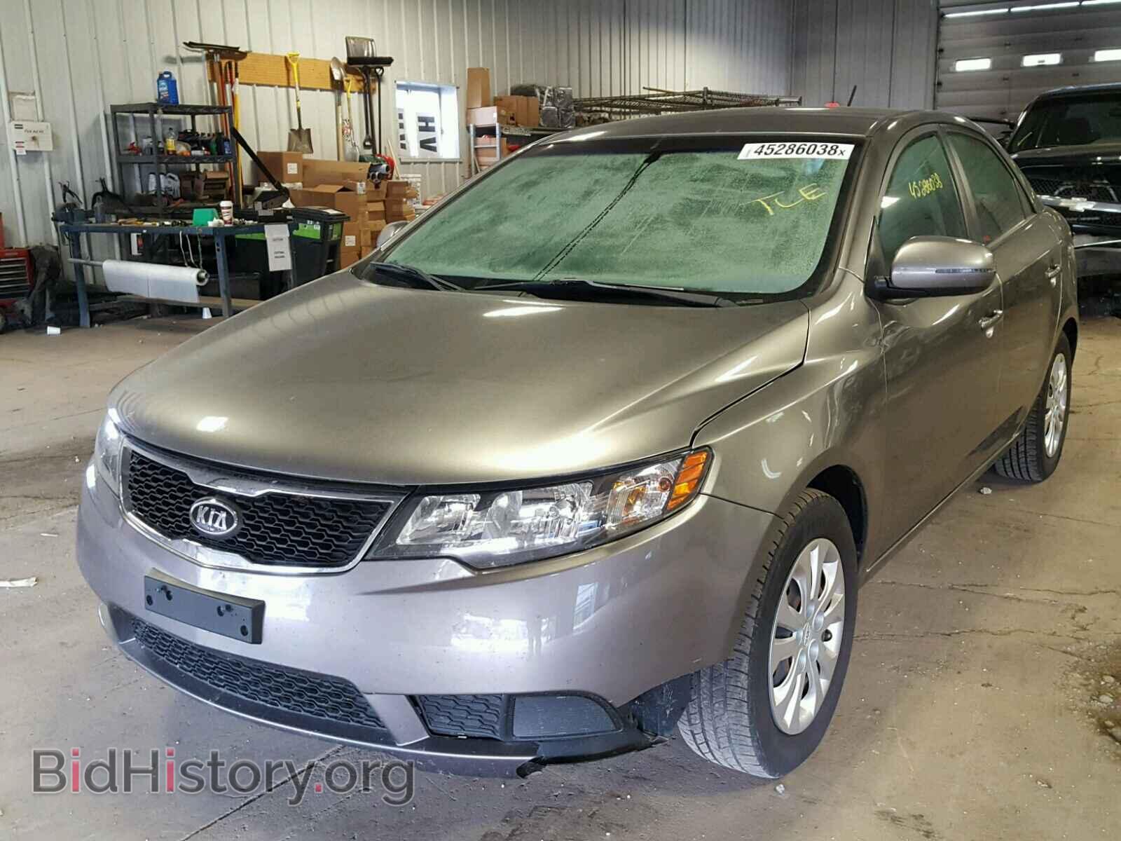 2012 KIA FORTE - VIN: KNAFU4A28C5548385 - Фото 2
