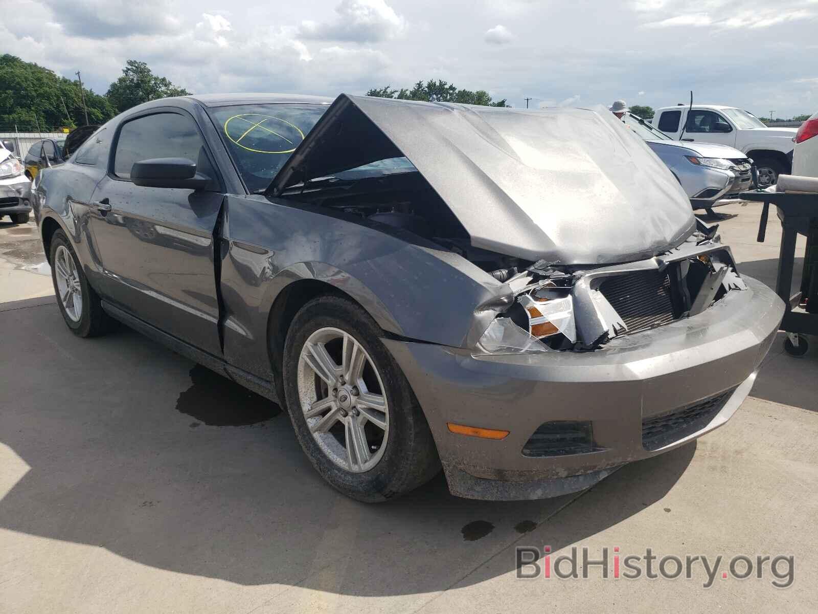 Photo 1ZVBP8AM8B5147920 - FORD MUSTANG 2011