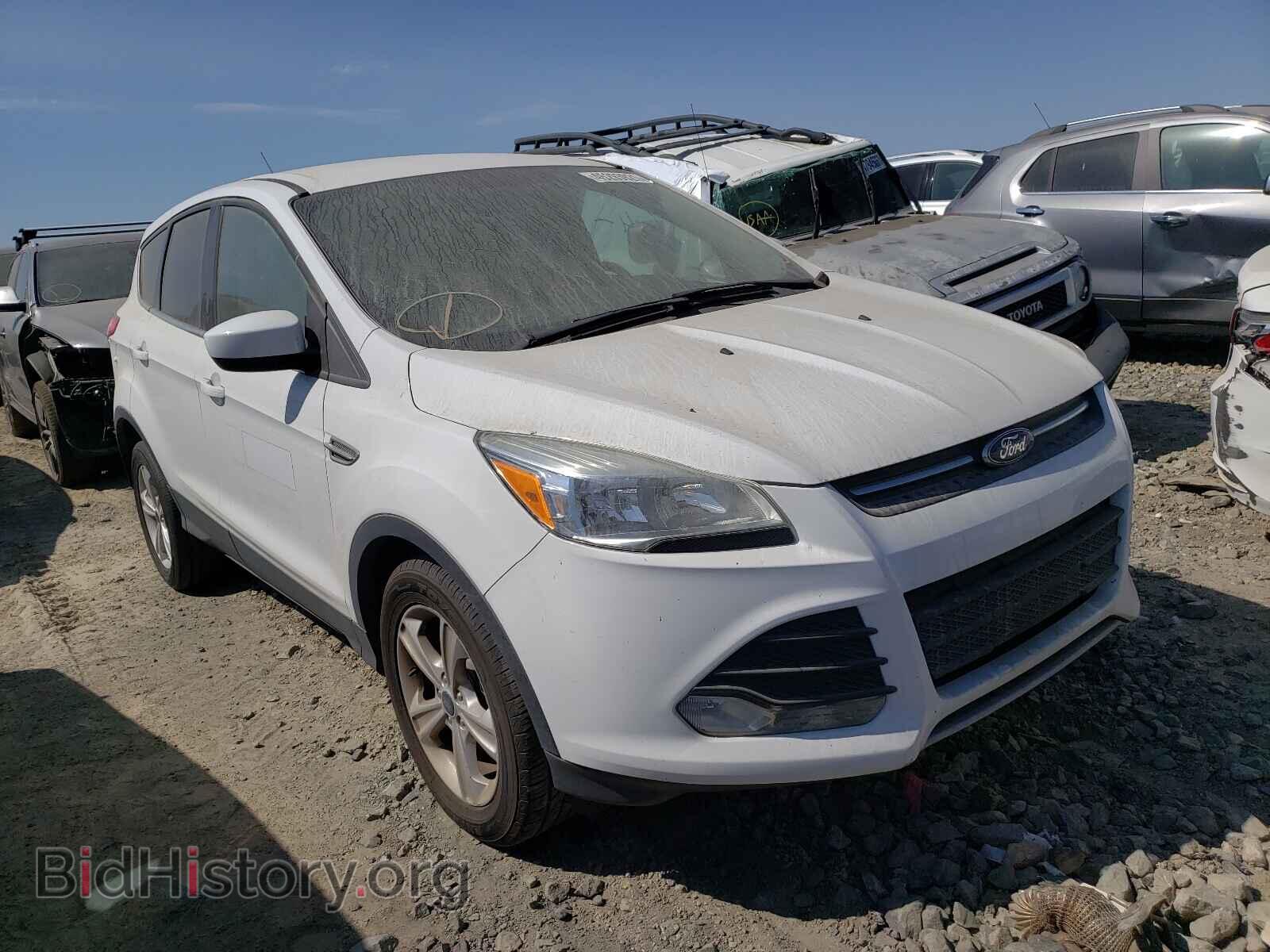 Photo 1FMCU0GX4EUD25394 - FORD ESCAPE 2014