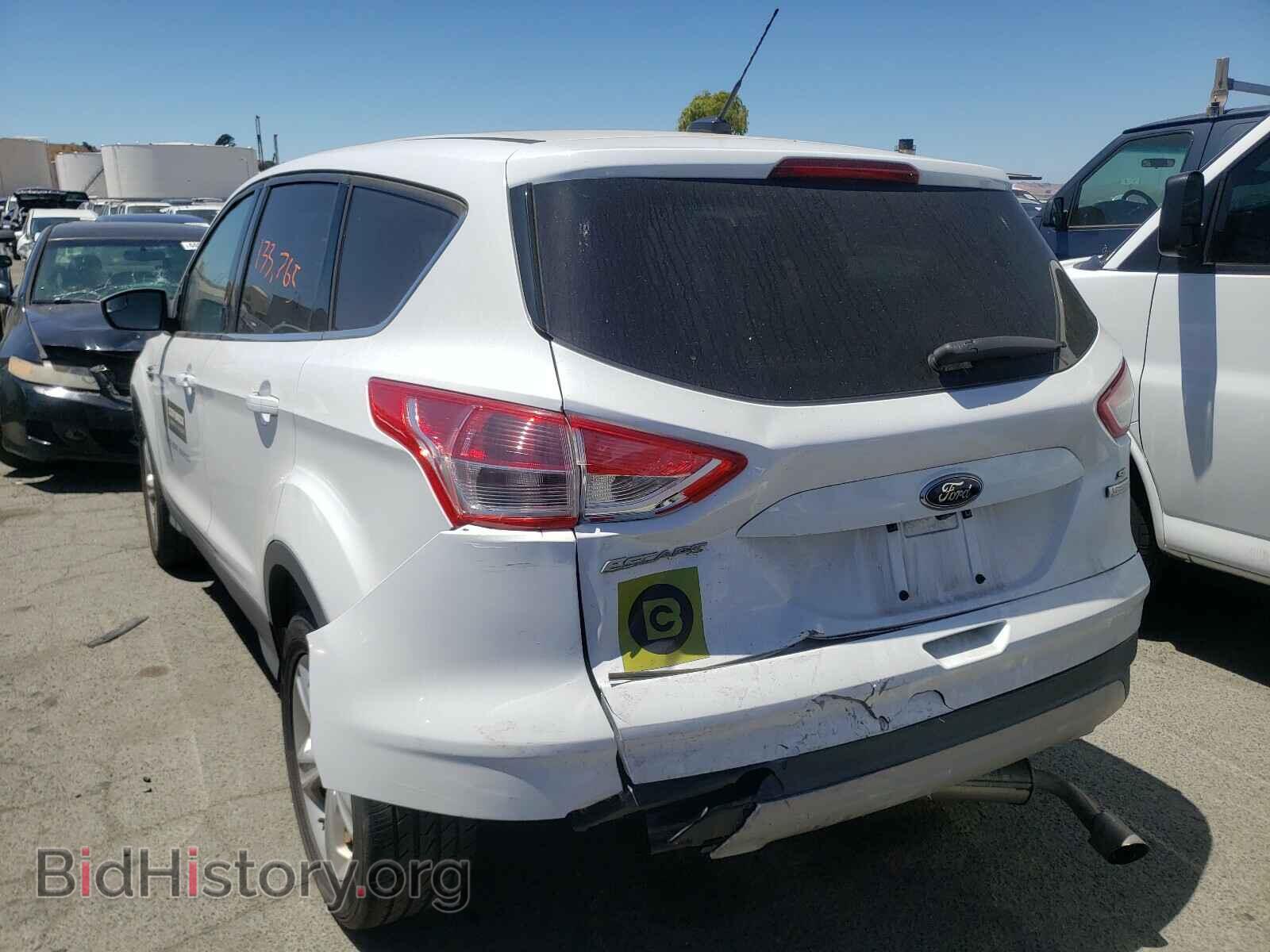2014 FORD ESCAPE - VIN: 1FMCU0GX4EUD25394 - Фото 3