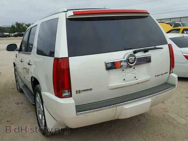 2011 CADILLAC ESCALADE - VIN: 1GYS3EEJ7BR261200 - Фото 3