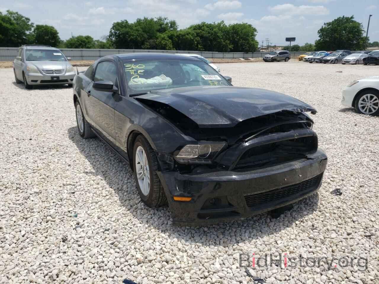 Photo 1ZVBP8AM3E5284574 - FORD MUSTANG 2014