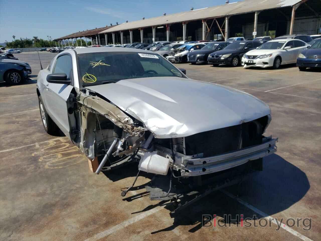 Photo 1ZVBP8AM4C5270146 - FORD MUSTANG 2012