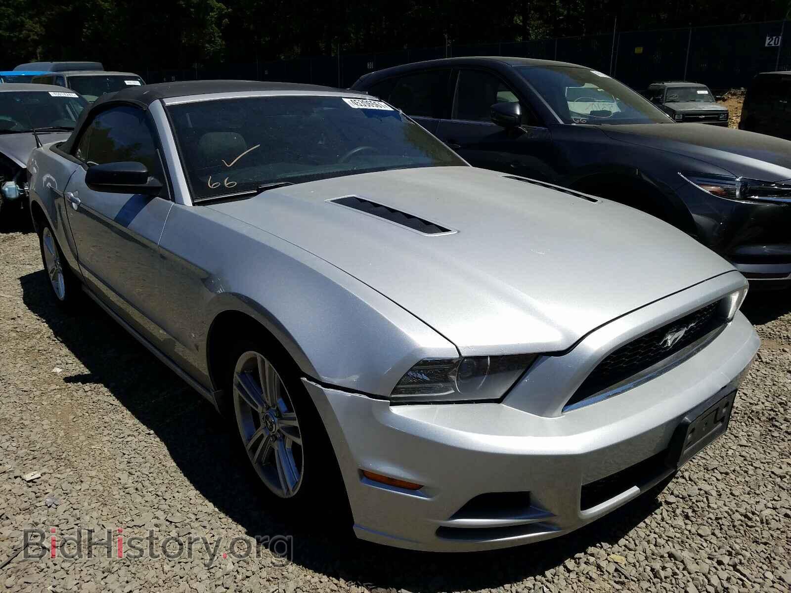 Фотография 1ZVBP8EM2D5203802 - FORD MUSTANG 2013