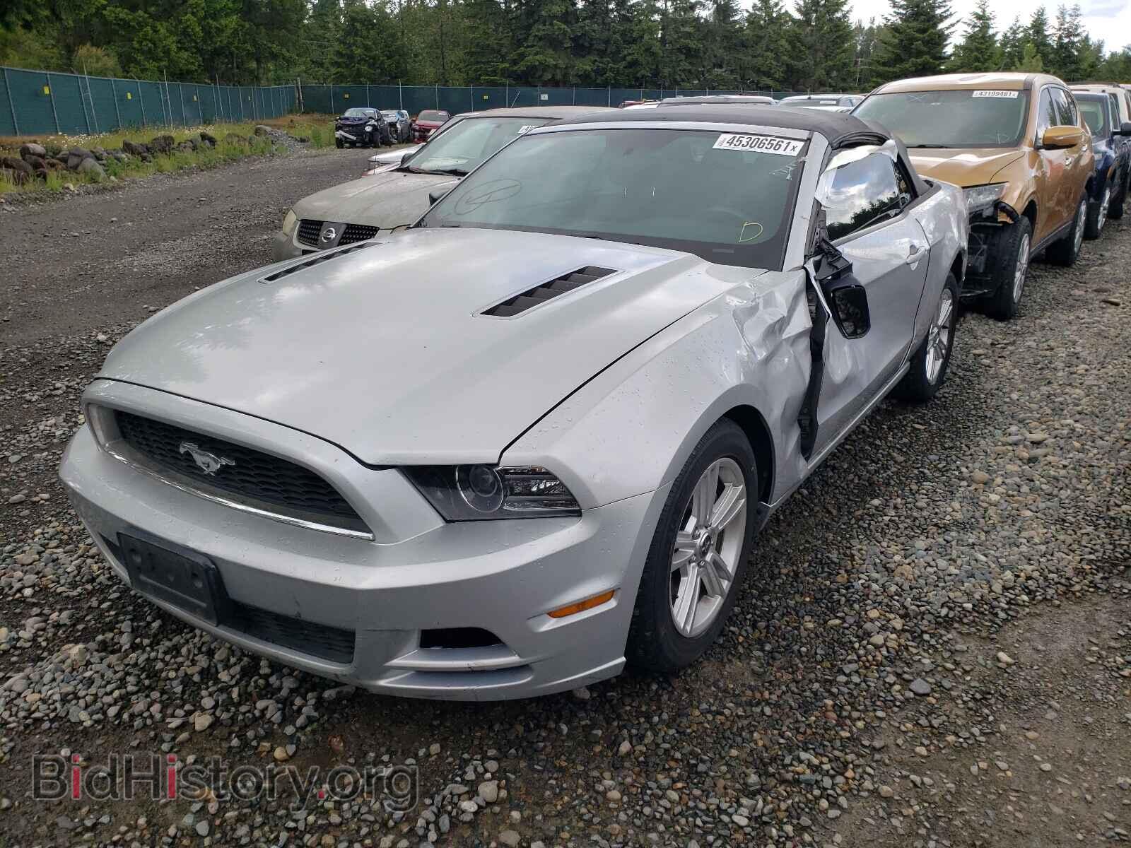 2013 FORD MUSTANG - VIN: 1ZVBP8EM2D5203802 - Фото 2