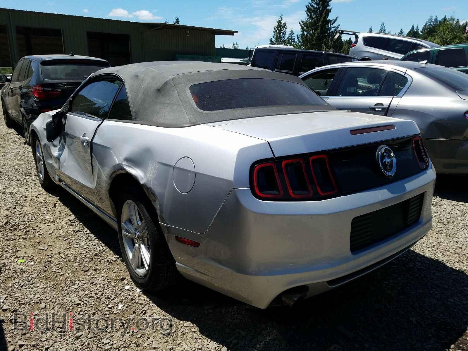 2013 FORD MUSTANG - VIN: 1ZVBP8EM2D5203802 - Фото 3