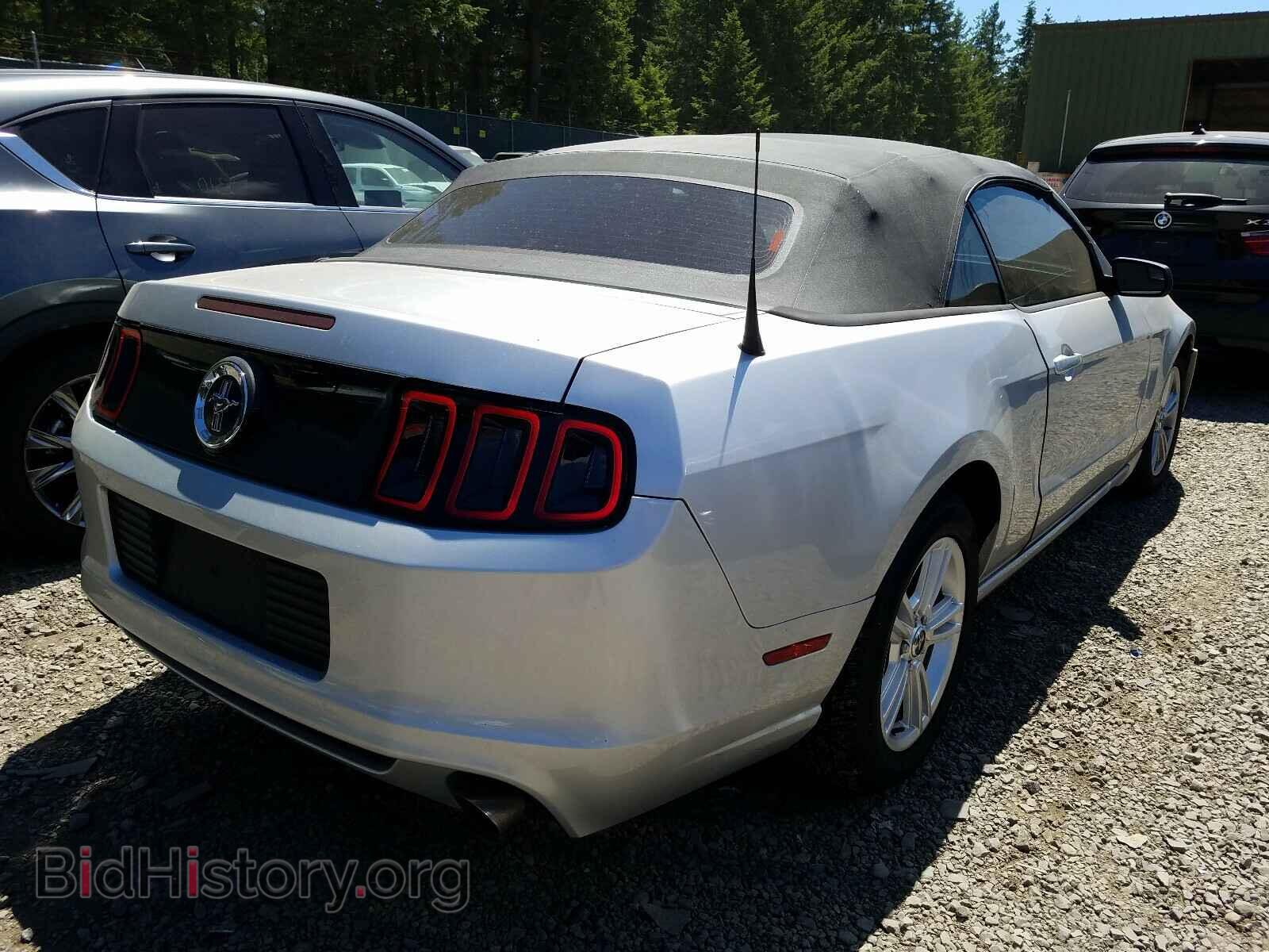 2013 FORD MUSTANG - VIN: 1ZVBP8EM2D5203802 - Фото 4