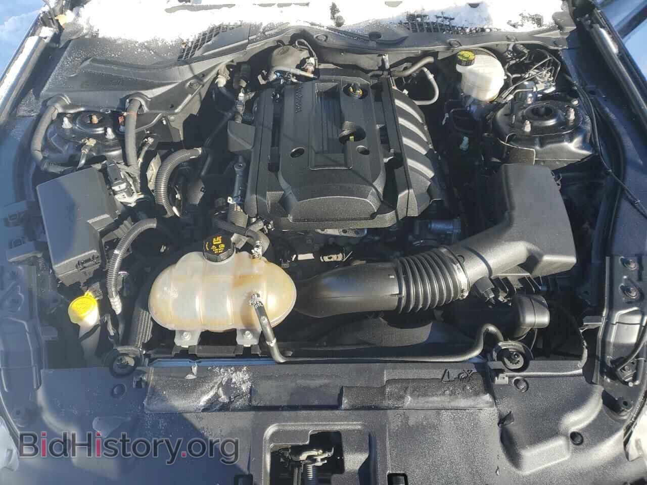 2019 FORD ALL Models - VIN: 1FA6P8TH8K5201467 - Photo 11