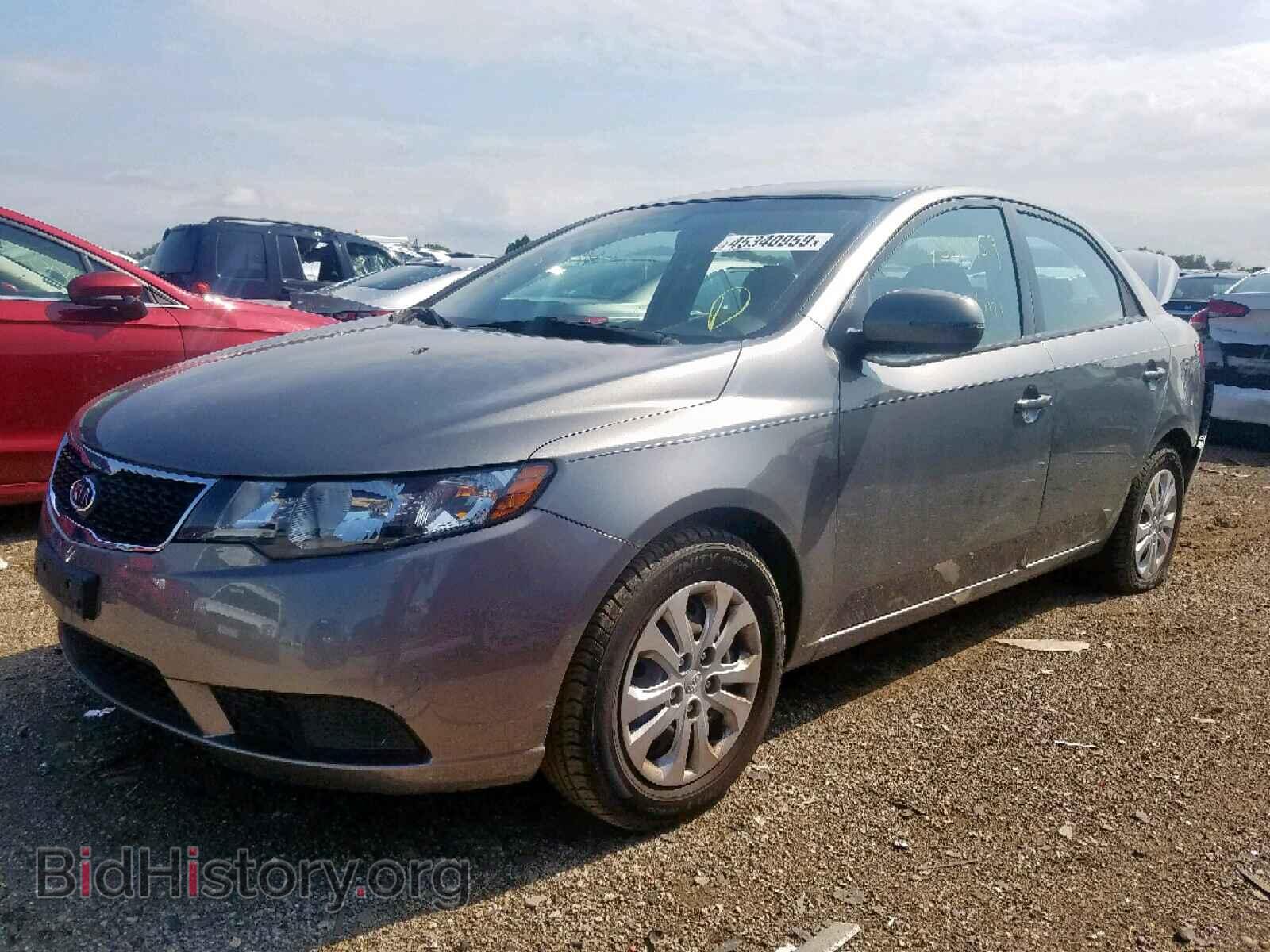 2013 KIA FORTE EX - VIN: KNAFU4A29D5656791 - Фото 2