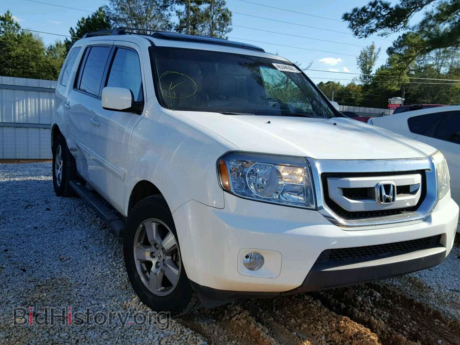 Фотография 5FNYF3H56BB019255 - HONDA PILOT 2011