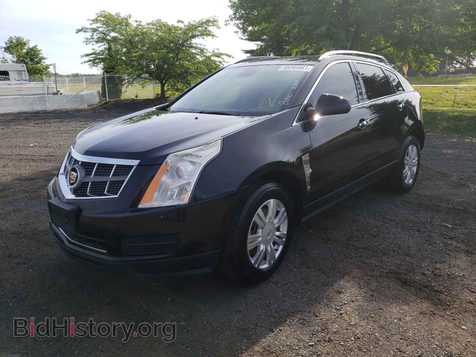 2010 CADILLAC SRX - VIN: 3GYFNAEY7AS516425 - Фото 2