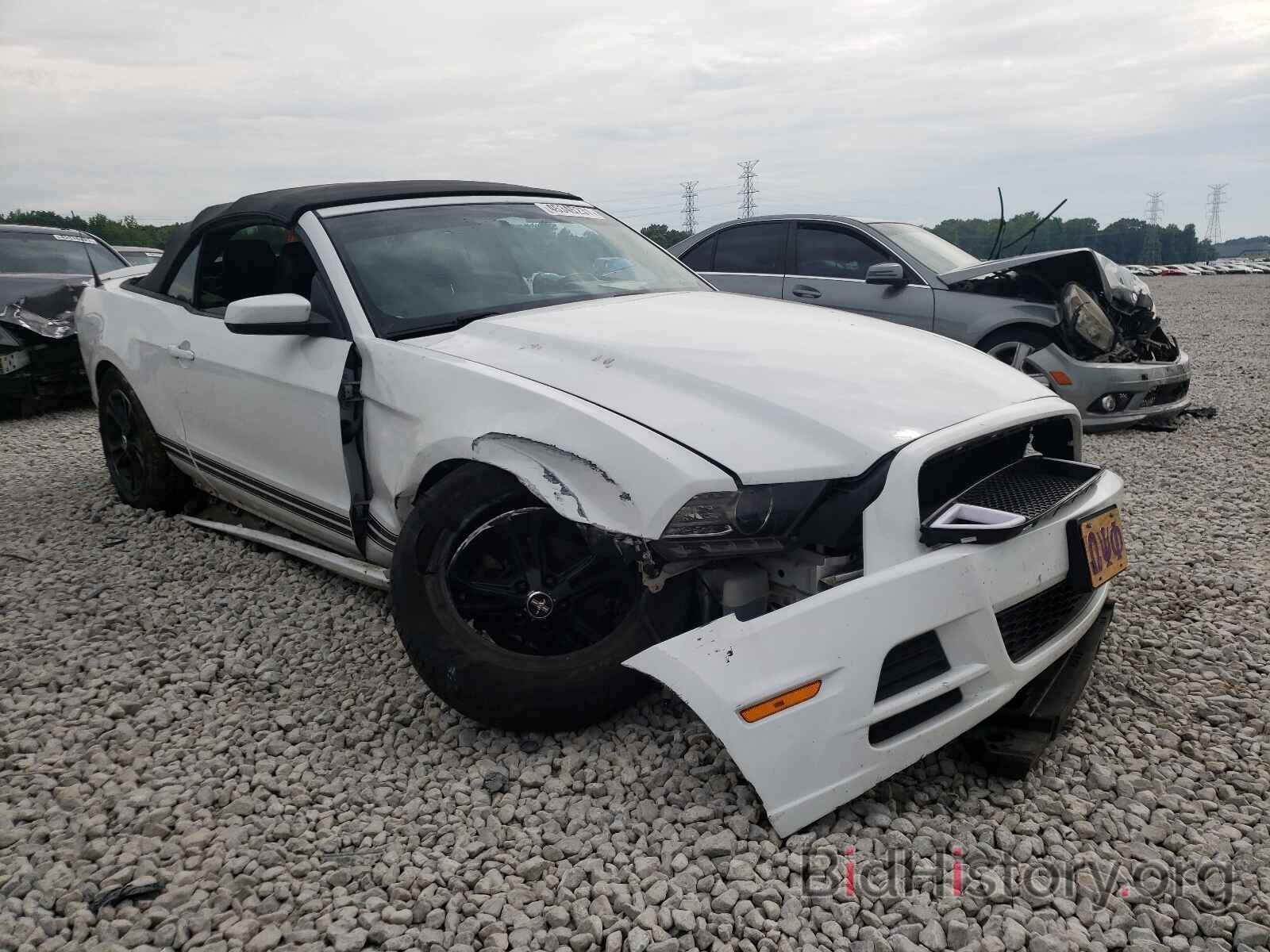 Photo 1ZVBP8EMXE5226990 - FORD MUSTANG 2014