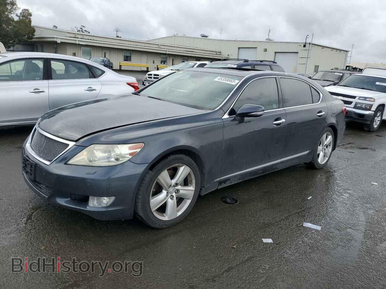 Фотография JTHGL5EF8A5041575 - LEXUS LS460 2010