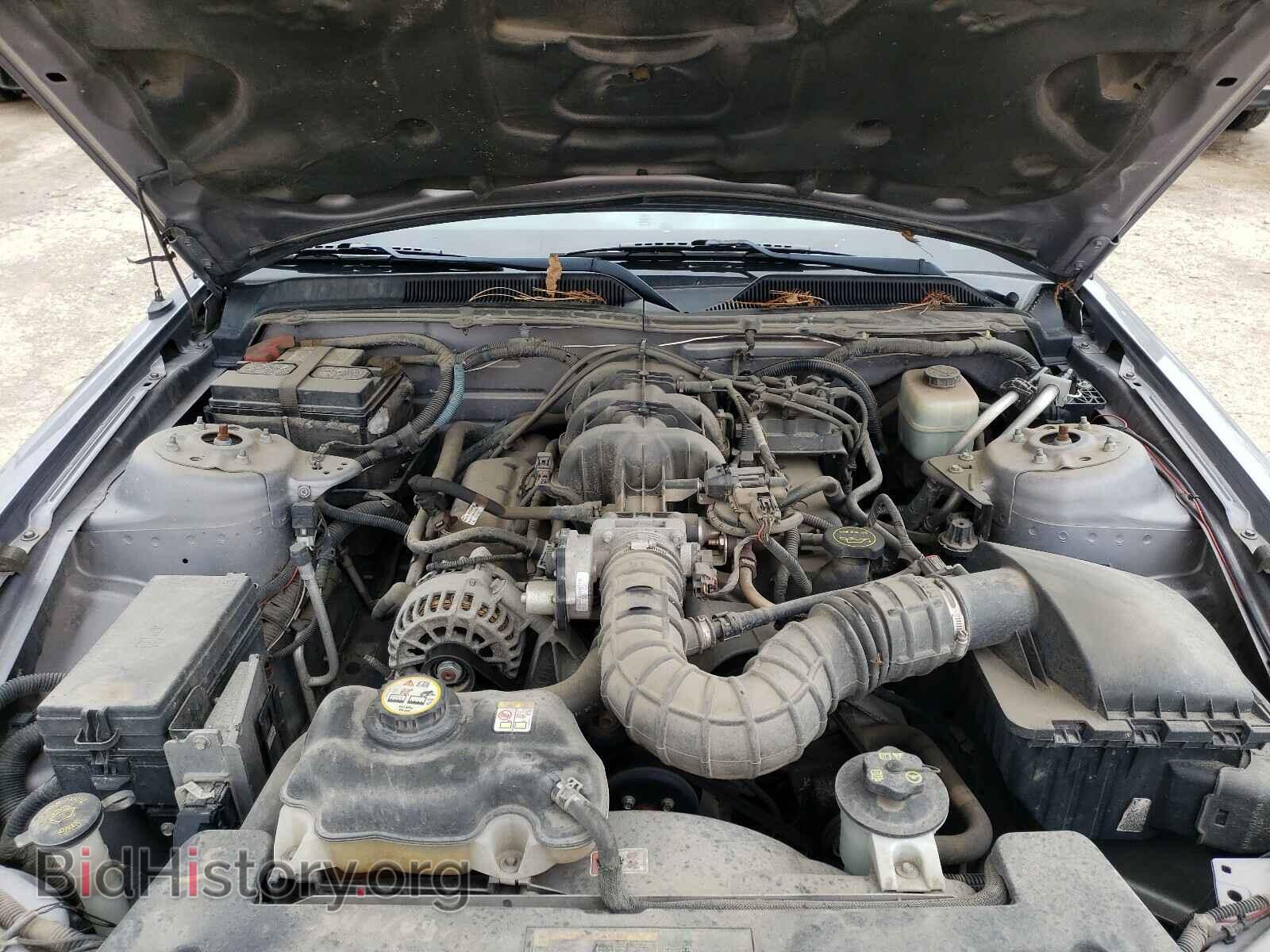 2006 FORD MUSTANG - VIN: 1ZVFT80NX65179944 - Фото 7