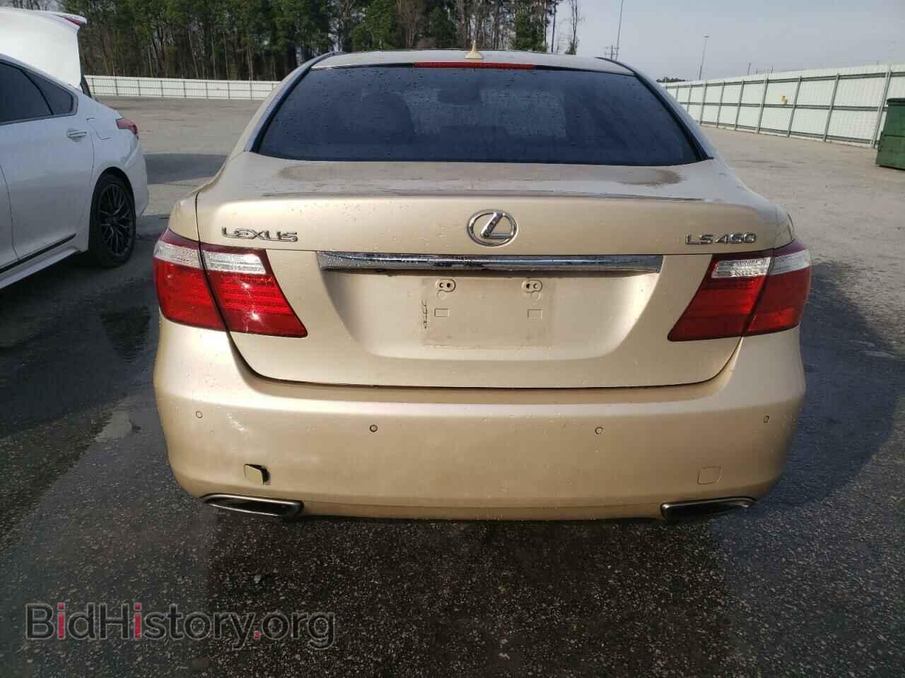 2008 LEXUS LS460 - VIN: JTHBL46F685061806 - Фото 6