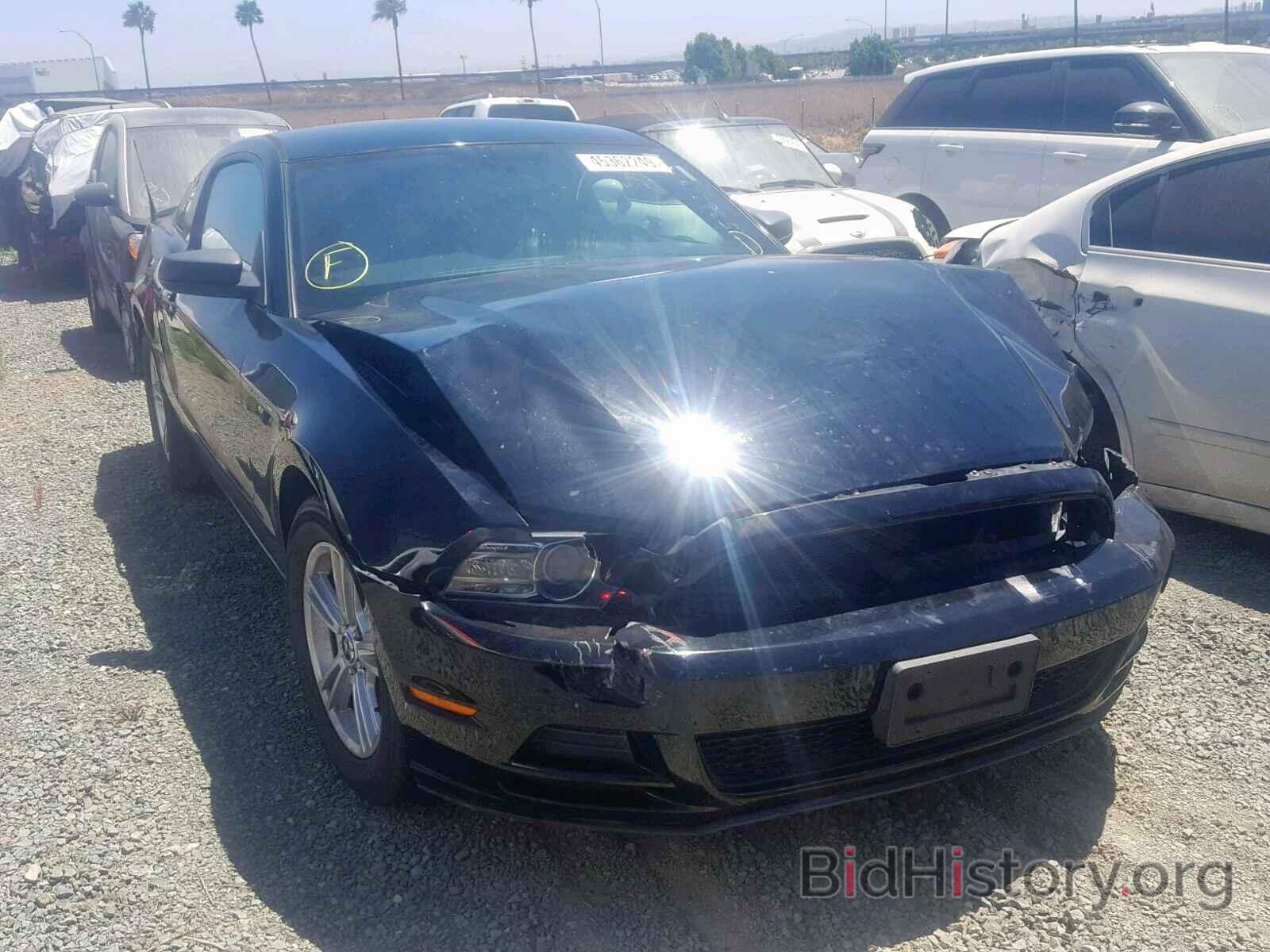 Photo 1ZVBP8AM6D5221502 - FORD MUSTANG 2013
