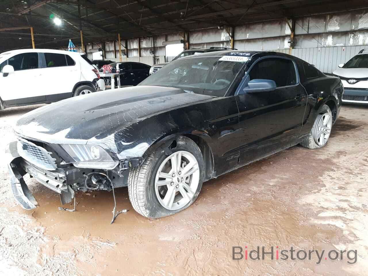 Photo 1ZVBP8AM5C5245742 - FORD MUSTANG 2012