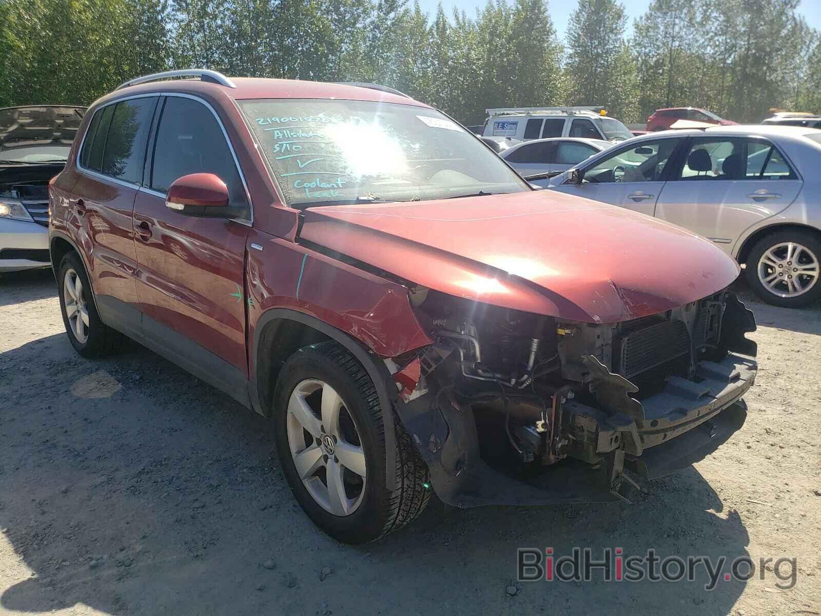 Photo WVGAV7AX5AW003674 - VOLKSWAGEN TIGUAN 2010