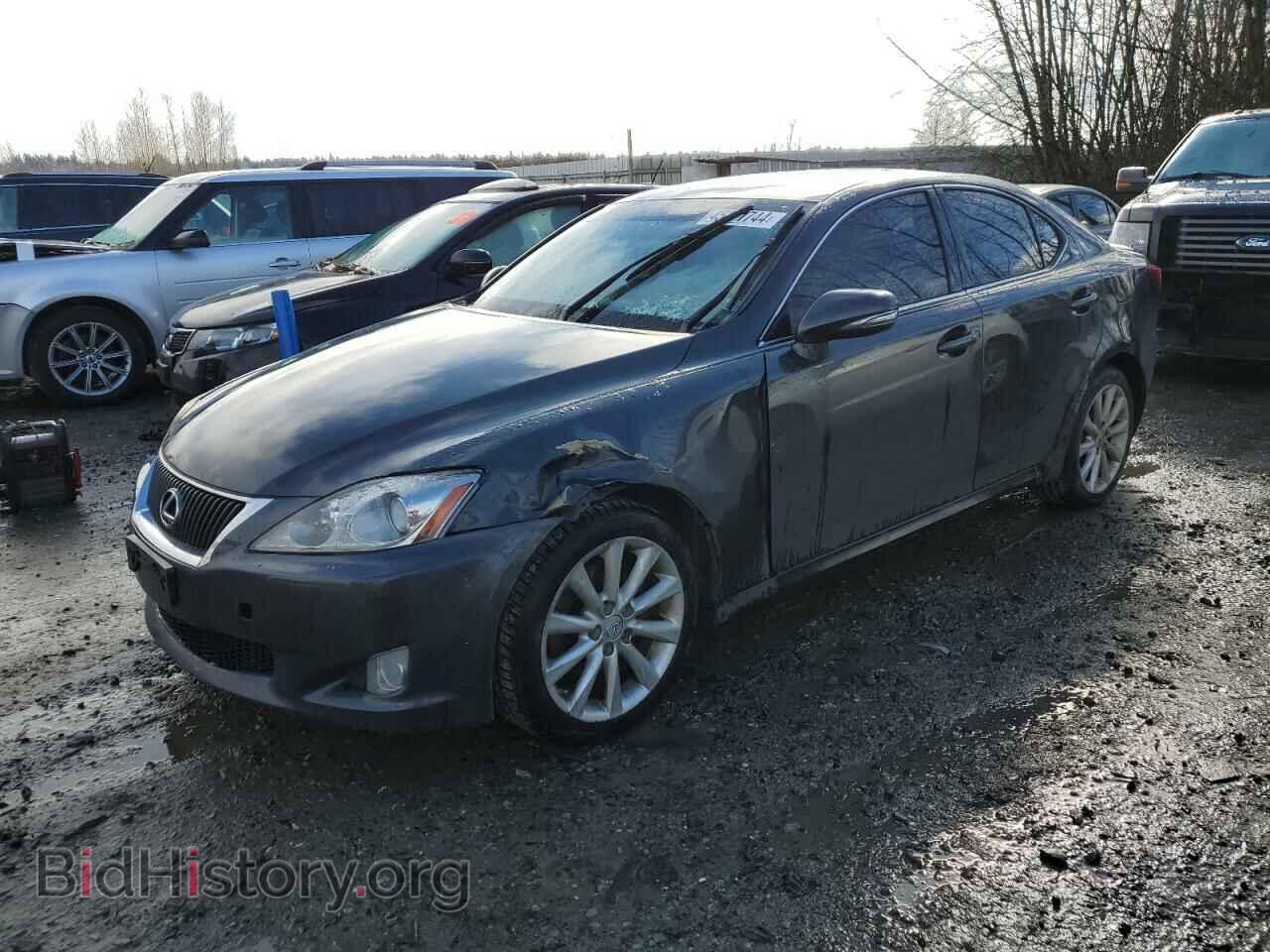 Фотография JTHCK262195028786 - LEXUS IS 2009